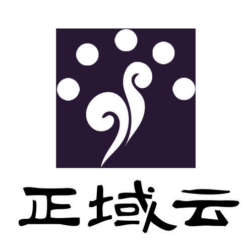 新疆正域云科技 深耕信息系統集成，賦能數字化未來